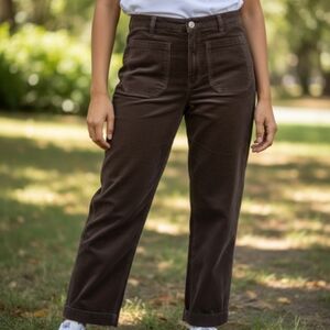 NwOT Never Worn Free People Womens Velvety 12 Pants in Chocolate Brown
